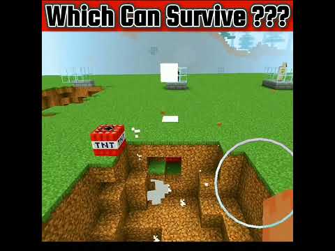 Which can survive ? Minecraft Underground TNT New Experiment | #minecraftshorts