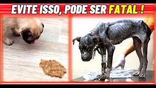 🚨 ALERTA: 07 Alimentos Que pode Matar Seu Cãozinho 🐶