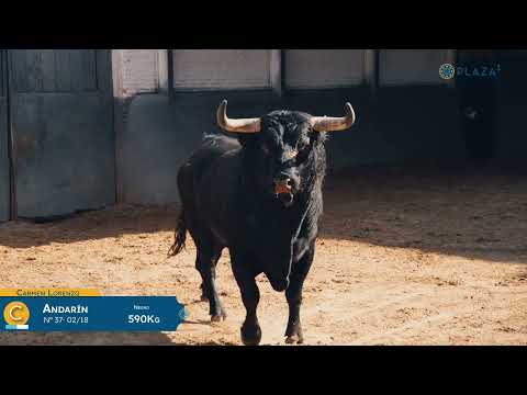 SORTEO | Corrida de rejones, 20 mayo