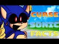 Curse Sonic EXE 3 0 CANCELLED SCRAPPED Facts