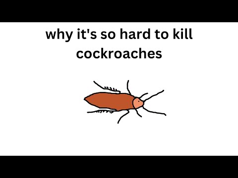 why it's so hard to kill cockroaches