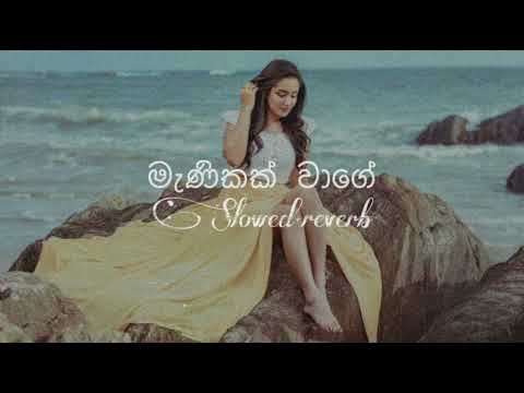 මැණිකක් වාගෙ | manikak wage (slowed+reverb) Full song #slowed #slowedandreverb