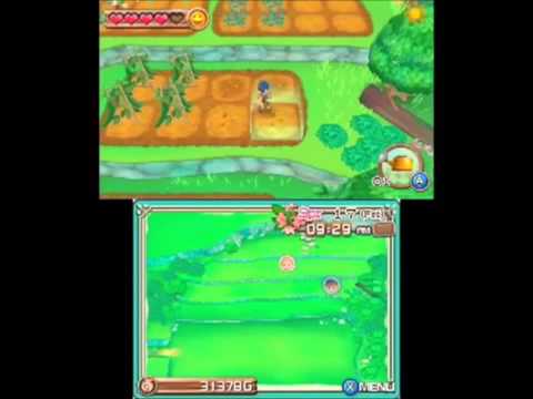 Harvest Moon: A New Beginning