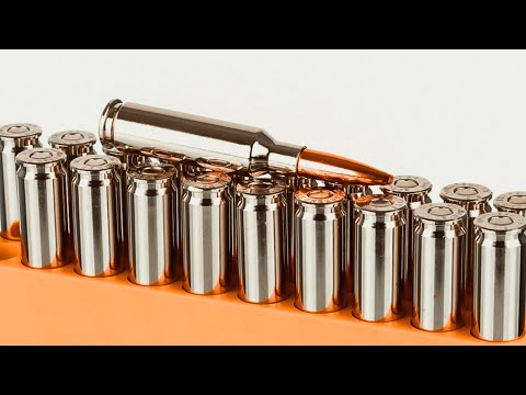 BEST CHEAP .223?! 223 Remington Prvi Partizan PPU 55gr SP Ammo Test