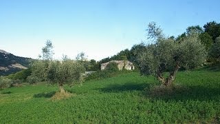 preview picture of video 'Bauernhaus zum Restaurieren mit schönem Panorama - Castiglione Messer Raimondo, Abruzzo'