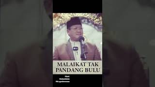 Download lagu MALAIKAT TAK PANDANG BULU -KH.AGUS DERMAWAN mp3