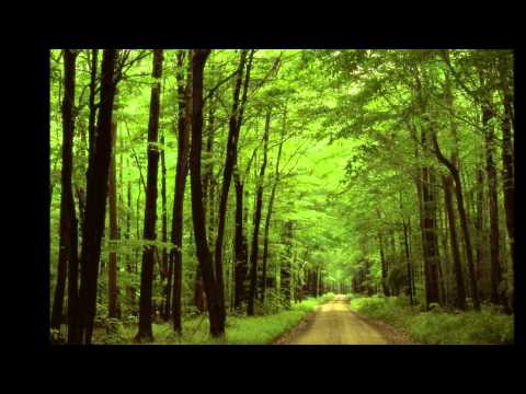 Zabučale Gore - Jožica Svete, Rafko Irgolič, Magda Koren, Franc Korbar