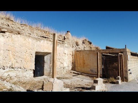video image