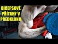 Bicepsové přítahy v předklonu | Cviky na biceps