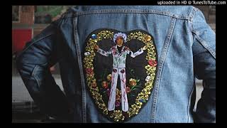 Grant-Lee Phillips - Hickory Wind