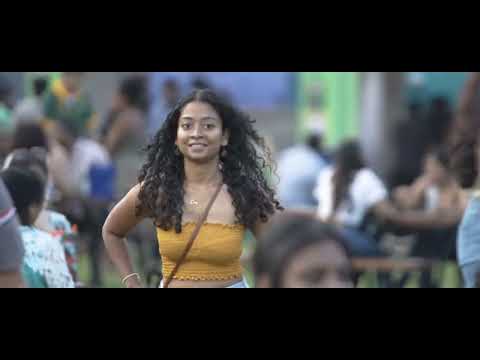 Lion Brewery, Rugby Event Coverage