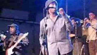 &quot;Wild and peaceful&quot; Incognito @ Fabryka Trzciny