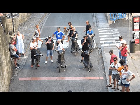 [VIDEO] Encierro txiki de las fiestas de la calle Santo Domingo