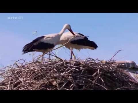 Küstenparadies Kroatien (1/3) (Kvarner Bucht)