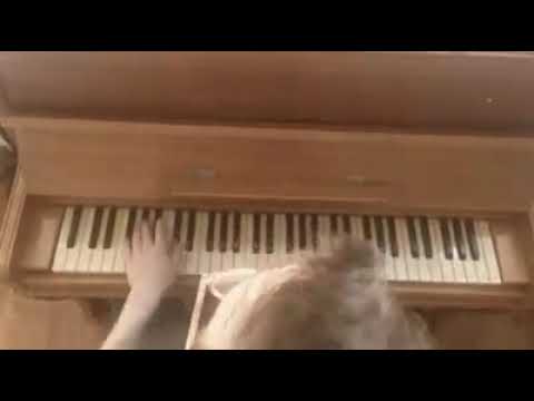 Woody Goss - Just a Gigolo