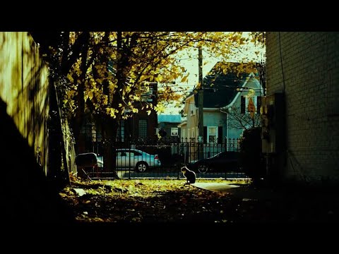 Baby Fifty - Thank You (Official Video) 