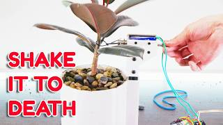 Shaking A Plant To See What Happens