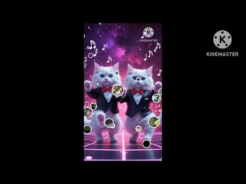 Cat cartoons 😂😍 cat Sahiba Sahiba bar and kids