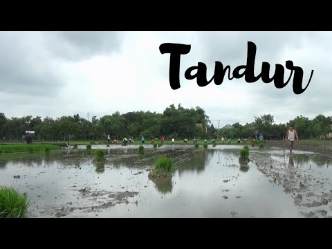 film-pendek-tandur-drama-komedi-lucu