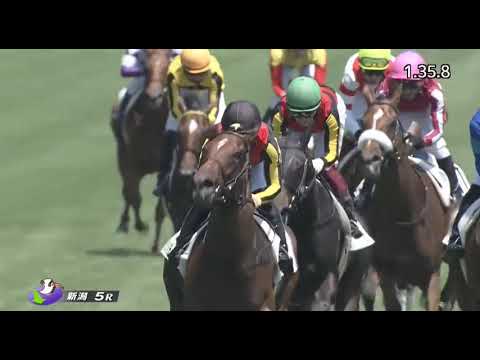 Liberty Island: the fastest final 600m in JRA history