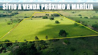 Espetacular SITIO a VENDA de 20 alqueires na região de Marília (35km) Topografia PLANA