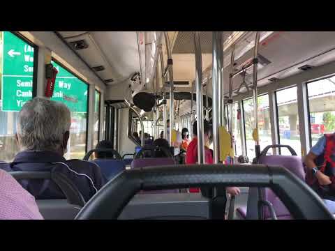 [Hellfire Thrashing] Tower Transit MAN A24 (SMB8031T) 858