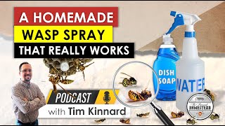A Homemade Wasp Spray that Really Works | DIY Wasp Killer