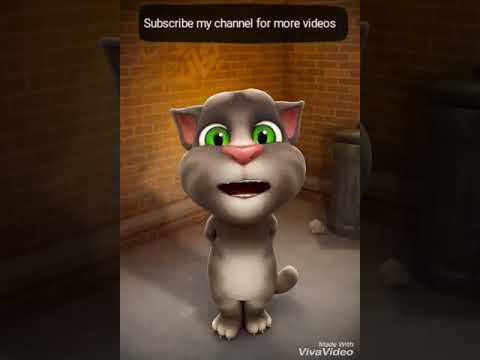 Download Funny Shayari By Talking Tom Cat In Hindi Very Funny Videos Must Watch Mp4 3GP Video & Mp3 Download unlimited Videos Download Download Funny Shayari By Talking Tom Cat In Hindi Very Funny Videos Must Watch Mp4 3GP Video & Mp3 Download unlimited Videos Download