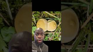 Is this Mother Nature? 🤣 #shorts #comedy