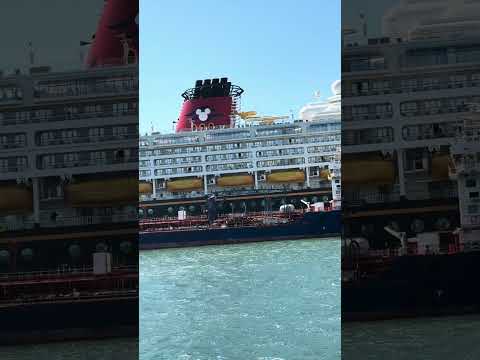 Thumbnail for Disney Wonder Cruise Ship in Sydney Australia