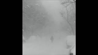 Cashmere Cat - Obvious (feat. G-Eazy & Tory Lanez) [SNIPPET]