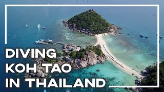 Scuba Diving Koh Tao, Thailand 🐠 (Open Water Course With Big Blue Diving) | Stoked For Travel