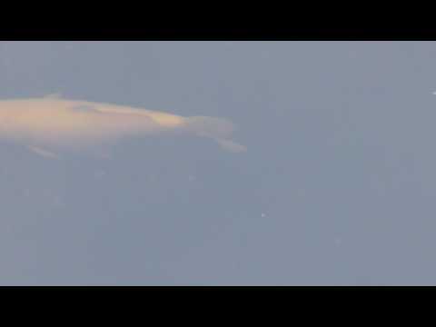 Koiteich mit 110 cm Stör Wassertemperatur 5 Grad