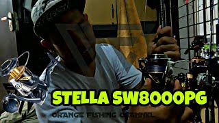 SHIMANO STELLA SW 8000 PG