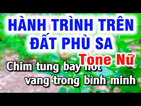 Karaoke Hành Trình Trên Đất Phù Sa Tone Nữ Nhạc Sống Cha Cha | Hoài Phong Organ