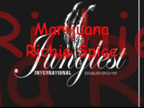 Fifth Element Riddim Mix