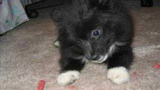 我真的受傷了 - Cover by Anna