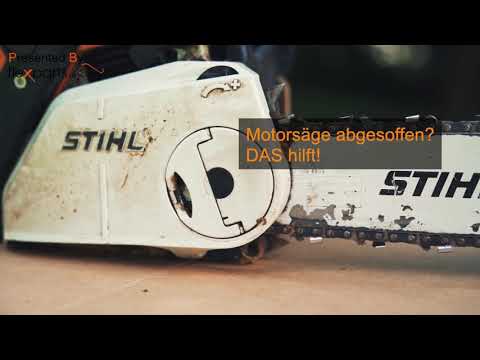 Motorsäge abgesoffen? DAS hilft! Montiert auf Stihl MS 230 C // Flexparts