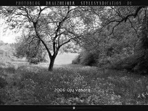 dblz - viskas kas brangu