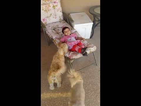 Ashni enjoying with dogs!