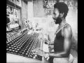 Lee Perry and Errol Walker - In these Times