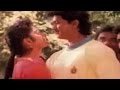 Old Tamil Songs Pillayare Pillayare Vijay Gouthami Tadimalla Senthoorapandi