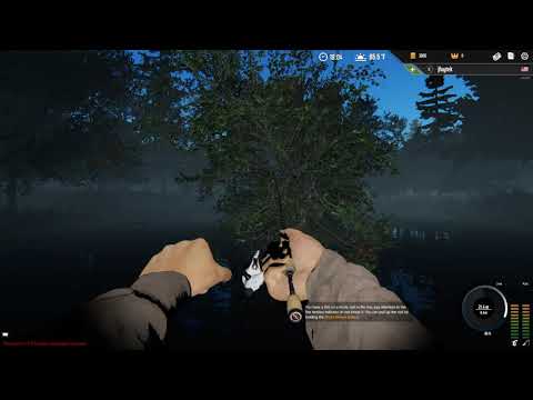 Professional Fishing - Game (Beginners Guide) - YouTube