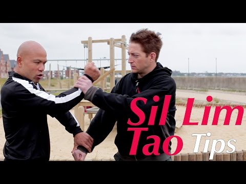 wing chun kung fu siu nim tao tip  2