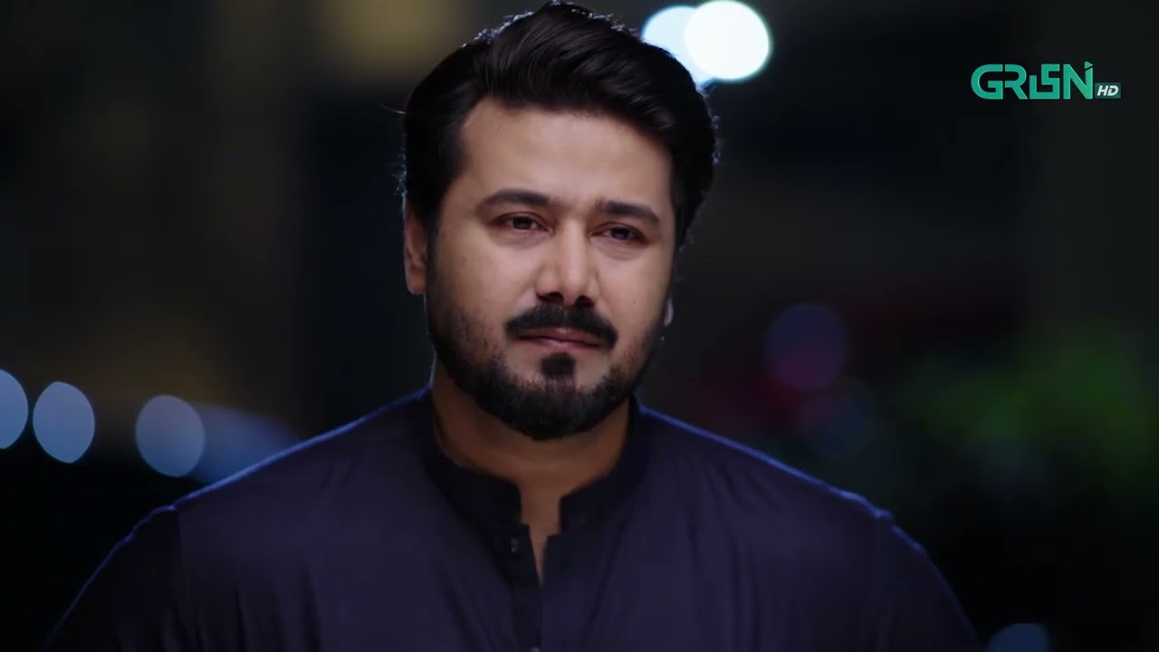 Jao Wapis Apne Pehle Yaar Ke Pas | Aik Bhool | Ali Abbas - Dania Enwer | Green TV