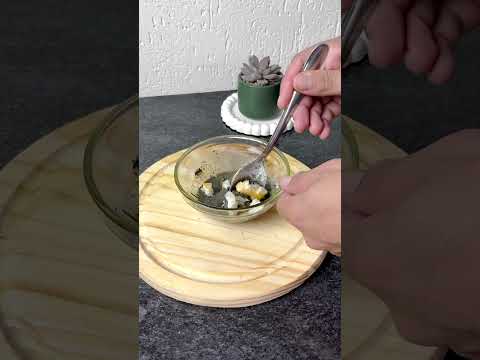 Just put cement inside a piece of bread and wait! #Household #Insects