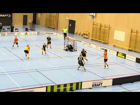 Damer JAS Åstorp/Kvidinge IBS - FBC Engelholm 3-5
