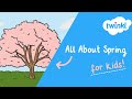 All About Spring For Kids Spring Weather Changing Seasons Spring Around The World Twinkl USA