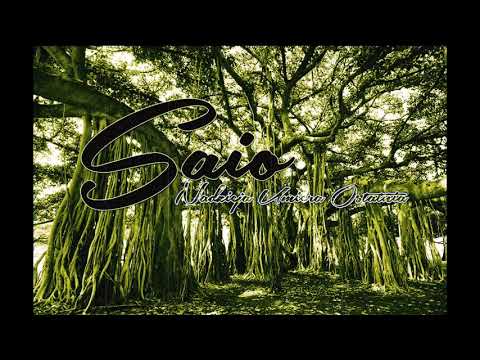 BWD SAIAN-NADZIEJA UMIERA OSTATNIA (PROD.RETRO BEATZ)