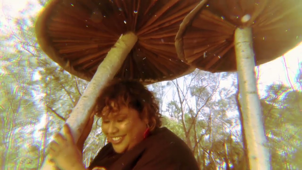 Dangerfield | Calling all cryptids, creatures and creepy crawlies